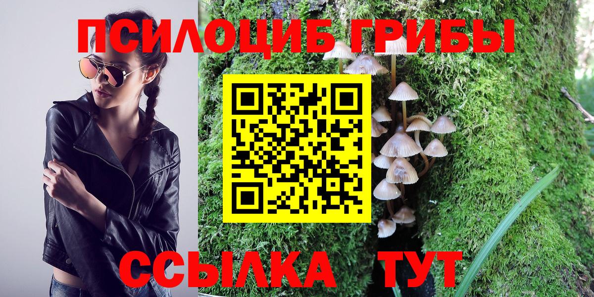 Псилоцибиновые грибы MAGIC MUSHROOMS Миллерово